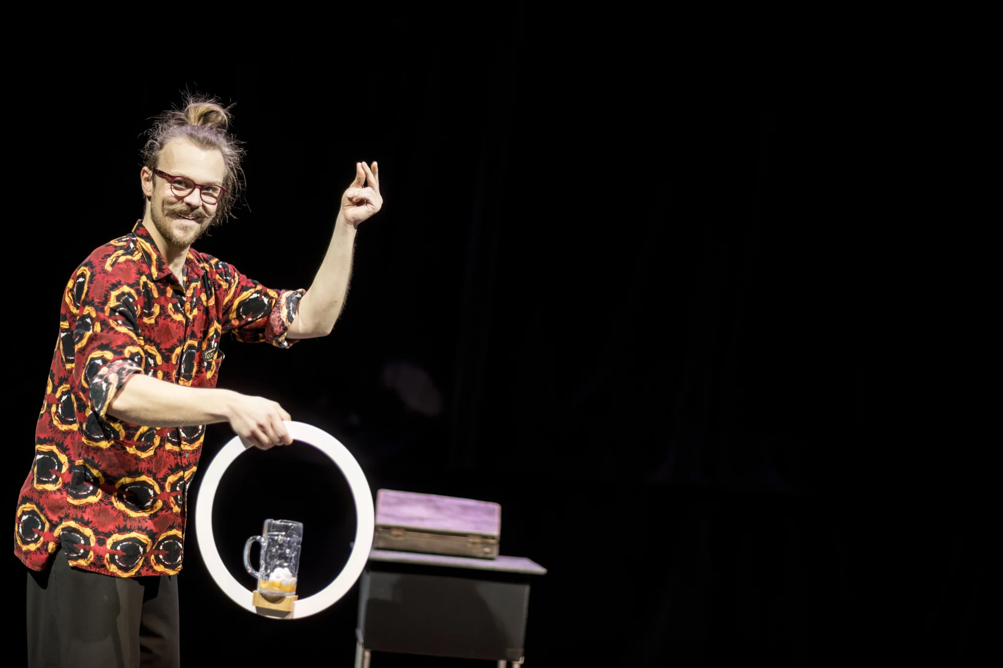 Profesionální cirkusové umění